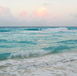 Meet your Posher, Hazel